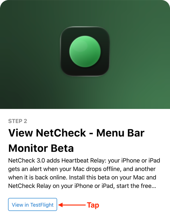 Apple's TestFlight page for the NetCheck beta, with the heading 'Step 2: View NetCheck - Menu Bar Monitor Beta' and the 'View in TestFlight' button under it.
