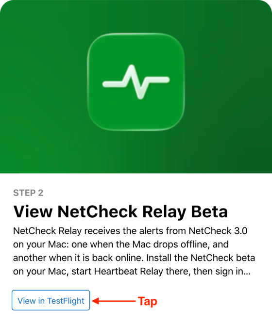 Apple's TestFlight page for the NetCheck Relay beta, with the heading 'Step 2: View NetCheck Relay Beta' and the 'View in TestFlight' button under it.
