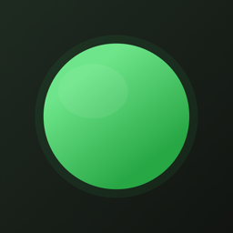 NetCheck app icon